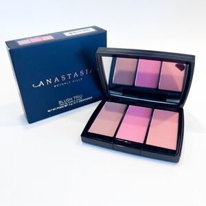 𝅺🆕anastasia blush trio- pool party